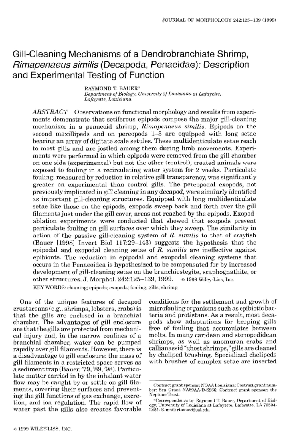 Gill-Cleaning Mechanisms of a Dendrobranchiate Shrimp, Rimapenaeus Similis (Decapoda, Penaeidae): Description and Experimental Testing of Function
