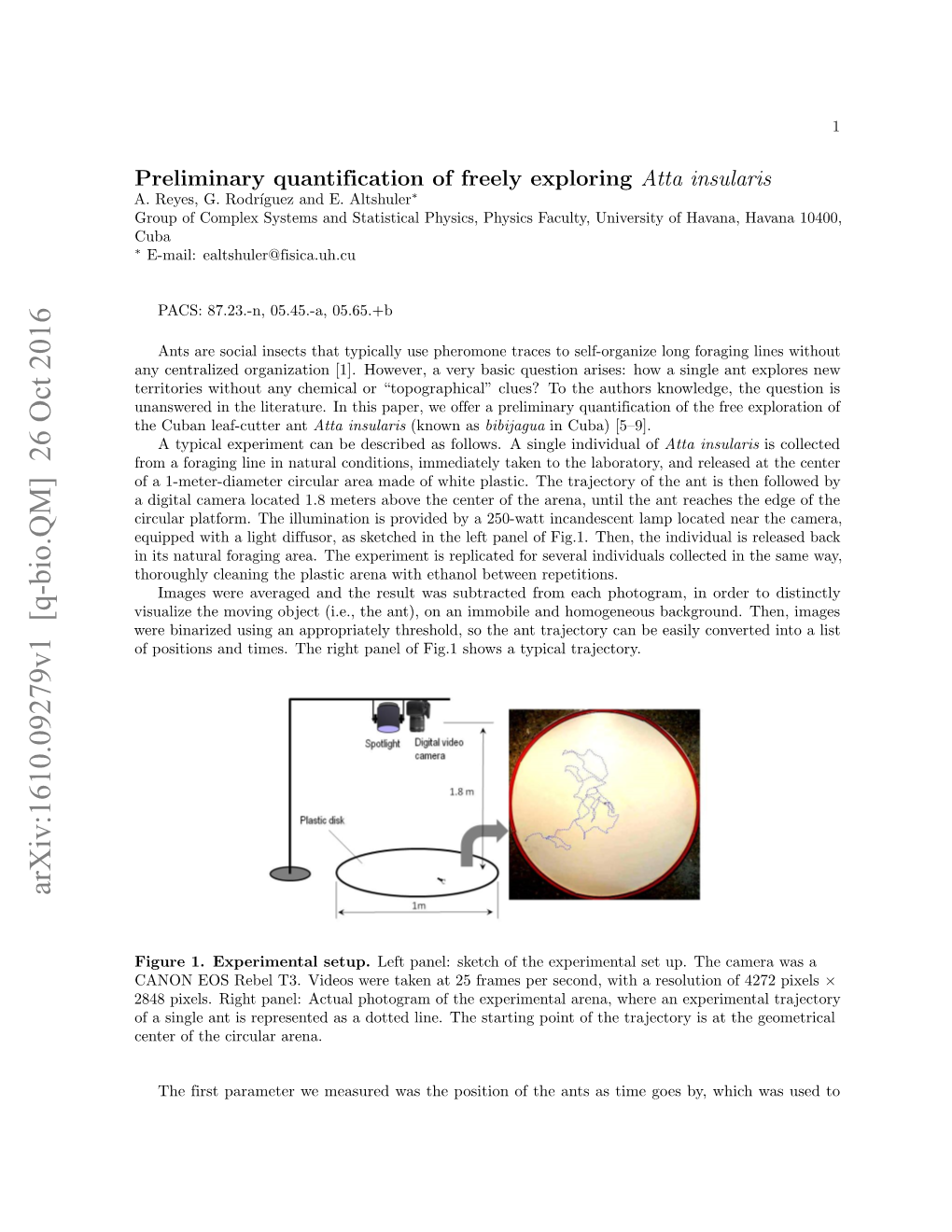 Preliminary Quantification of Freely Exploring Atta Insularis A