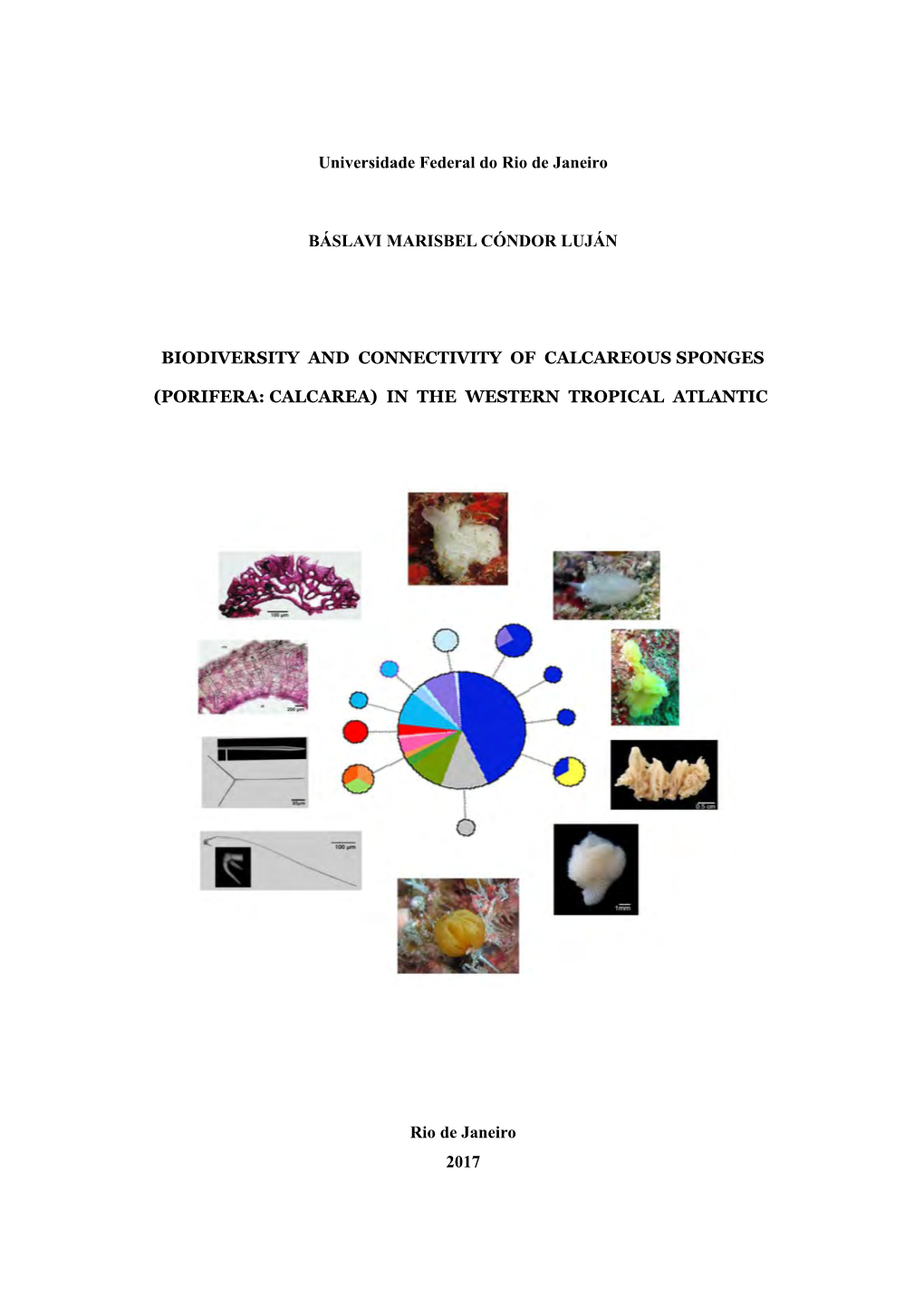 Universidade Federal Do Rio De Janeiro BÁSLAVI MARISBEL CÓNDOR LUJÁN BIODIVERSITY and CONNECTIVITY of CALCAREOUS SPONGES