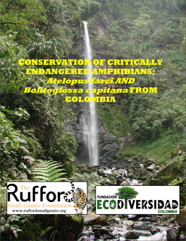 Final Report Rufford Small Grant Colombia