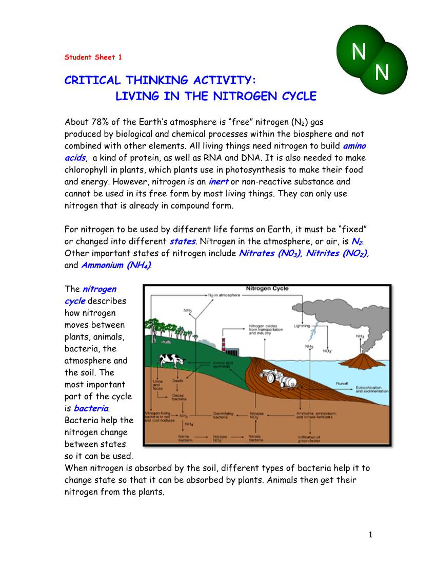 Critical Thinking Activity: Living in the Nitrogen Cycle