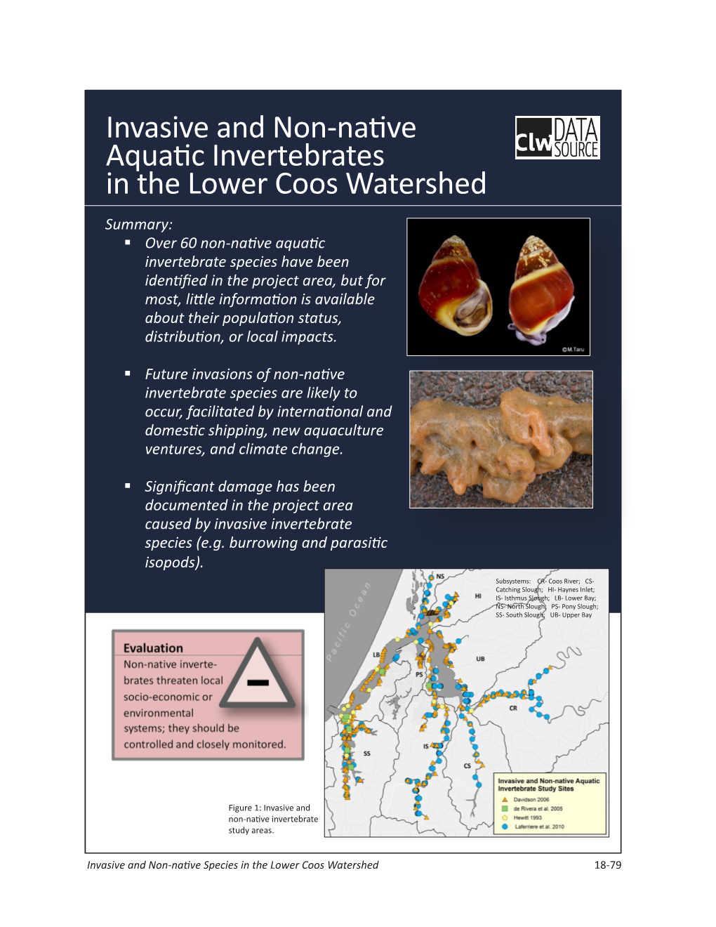 Invasive and Non-Native Aquatic Invertebrates in the Lower Coos