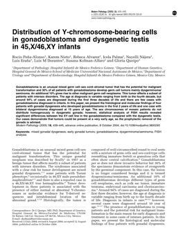 Distribution of Y-Chromosome-Bearing Cells in Gonadoblastoma and Dysgenetic Testis in 45,X/46,XY Infants