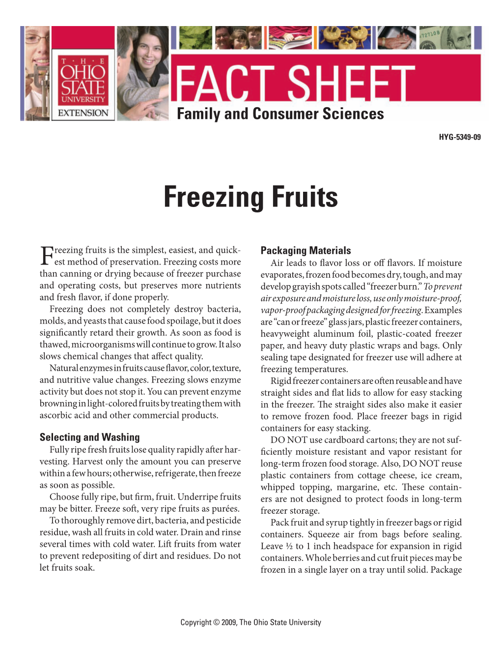 Freezing Fruits