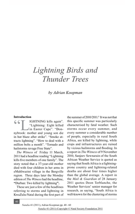Lightning Birds and Thunder Trees