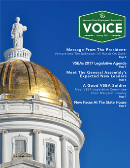 Message from the President: VSEA's 2017 Legislative Agenda Meet The