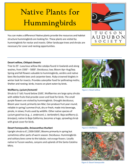 Native Plants for Hummingbirds