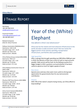 Year of the (White) Elephant
