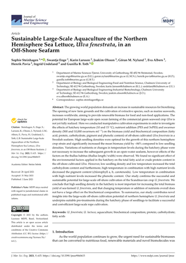 Sustainable Large-Scale Aquaculture of the Northern Hemisphere Sea Lettuce, Ulva Fenestrata, in an Off-Shore Seafarm