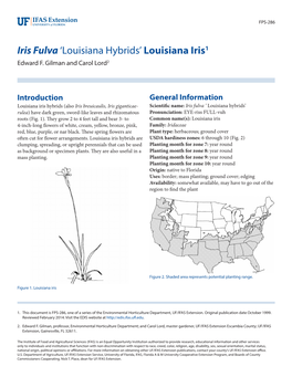 Iris Fulva ‘Louisiana Hybrids’ Louisiana Iris1 Edward F