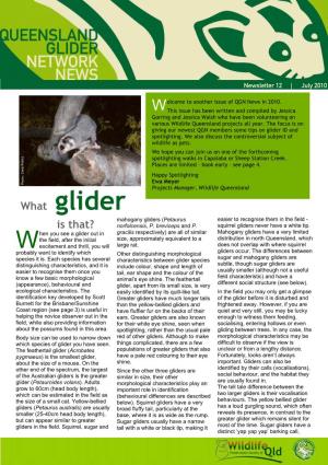 Queensland Glider Network News