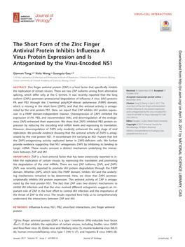 The Short Form of the Zinc Finger Antiviral Protein Inhibits Influenza A
