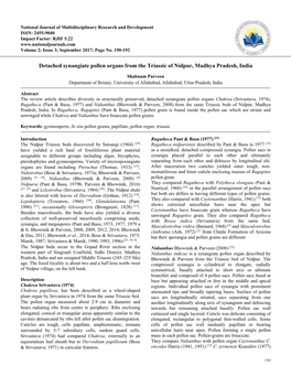 Detached Synangiate Pollen Organs from the Triassic of Nidpur, Madhya Pradesh, India