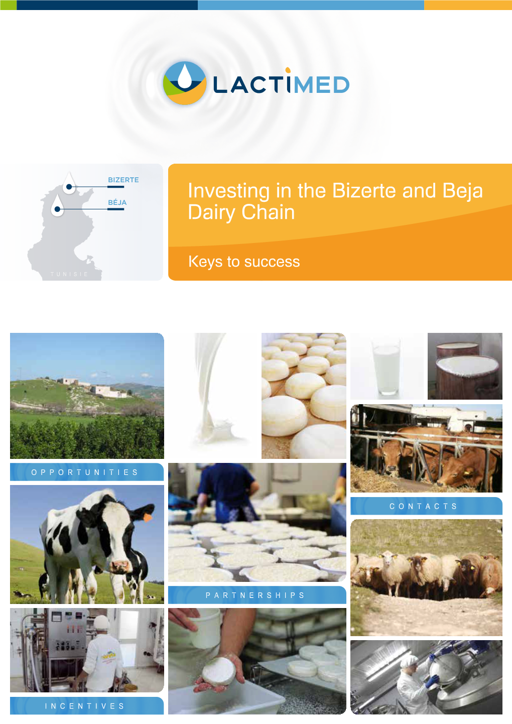 Investing in the Bizerte and Beja Dairy Chain