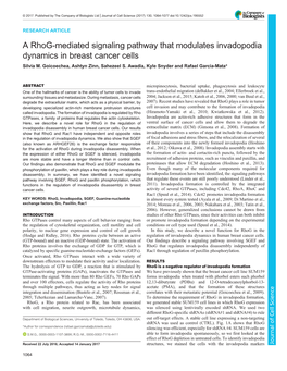 A Rhog-Mediated Signaling Pathway That Modulates Invadopodia Dynamics in Breast Cancer Cells Silvia M