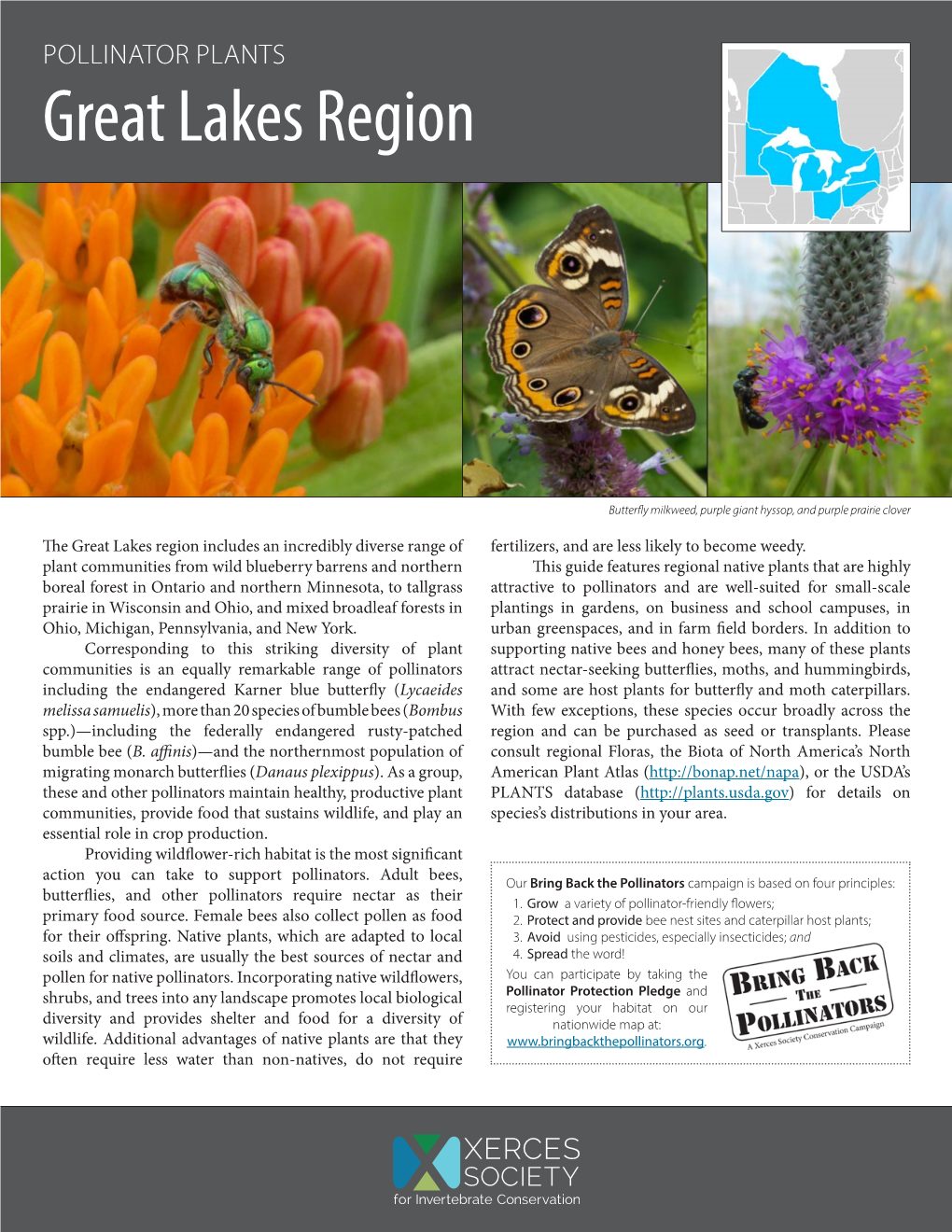 Pollinator Plants of the Great Lakes Region