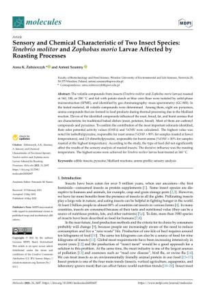 Sensory and Chemical Characteristic of Two Insect Species: Tenebrio Molitor and Zophobas Morio Larvae Affected by Roasting Processes