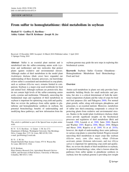 From Sulfur to Homoglutathione: Thiol Metabolism in Soybean