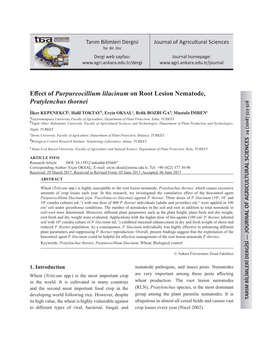 Effect of Purpureocillium Lilacinum on Root Lesion Nematode, Pratylenchus Thornei