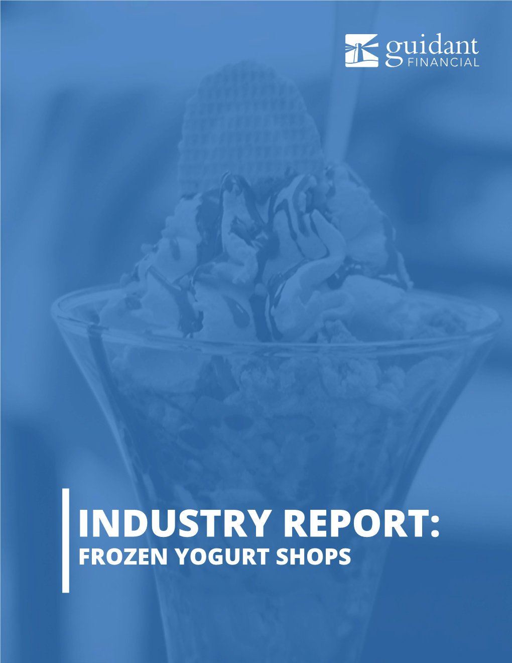 Industry Report: Frozen Yogurt Shops
