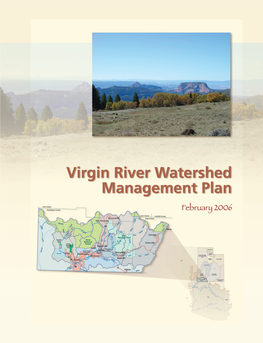 Virgin River Watershed Management Plan