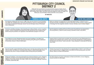 Pittsburgh City Council District 2