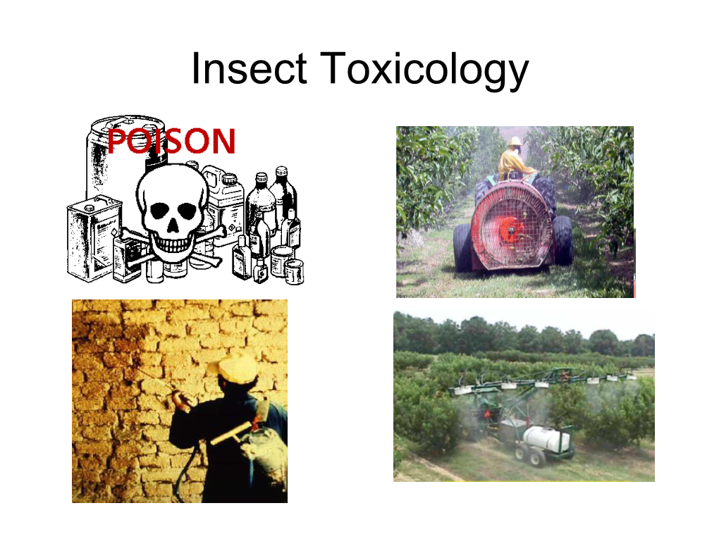 Insect Toxicology the General Toxicological Process