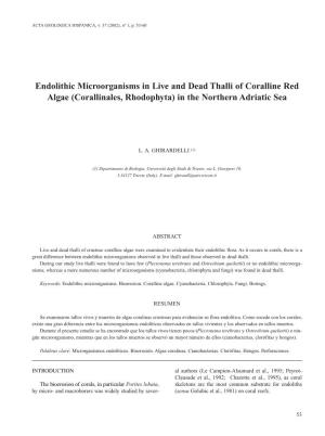 Endolithic Microorganisms in Live and Dead Thalli of Coralline Red Algae (Corallinales, Rhodophyta) in the Northern Adriatic Sea