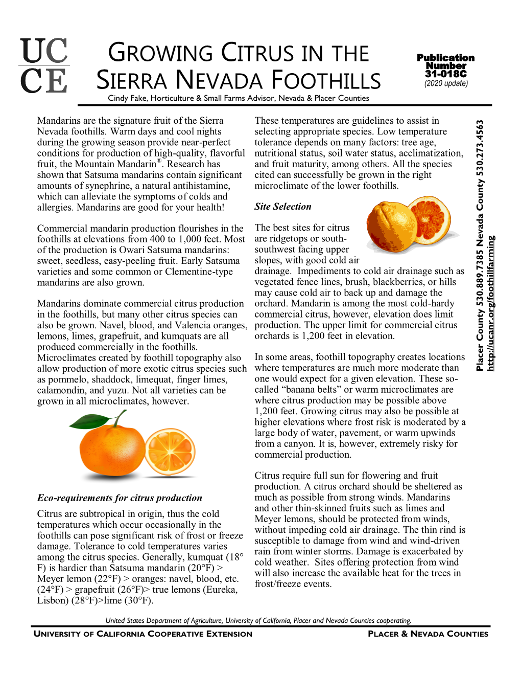 Growing Citrus in the Sierra Nevada Foothills