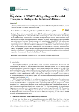 Regulation of BDNF-Trkb Signaling and Potential Therapeutic Strategies for Parkinson's Disease