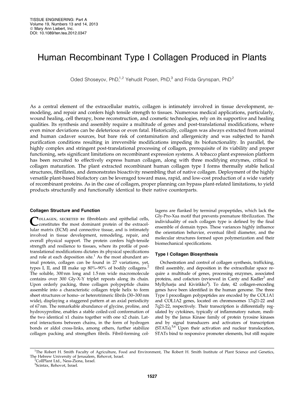 Human Recombinant Type I Collagen Produced in Plants