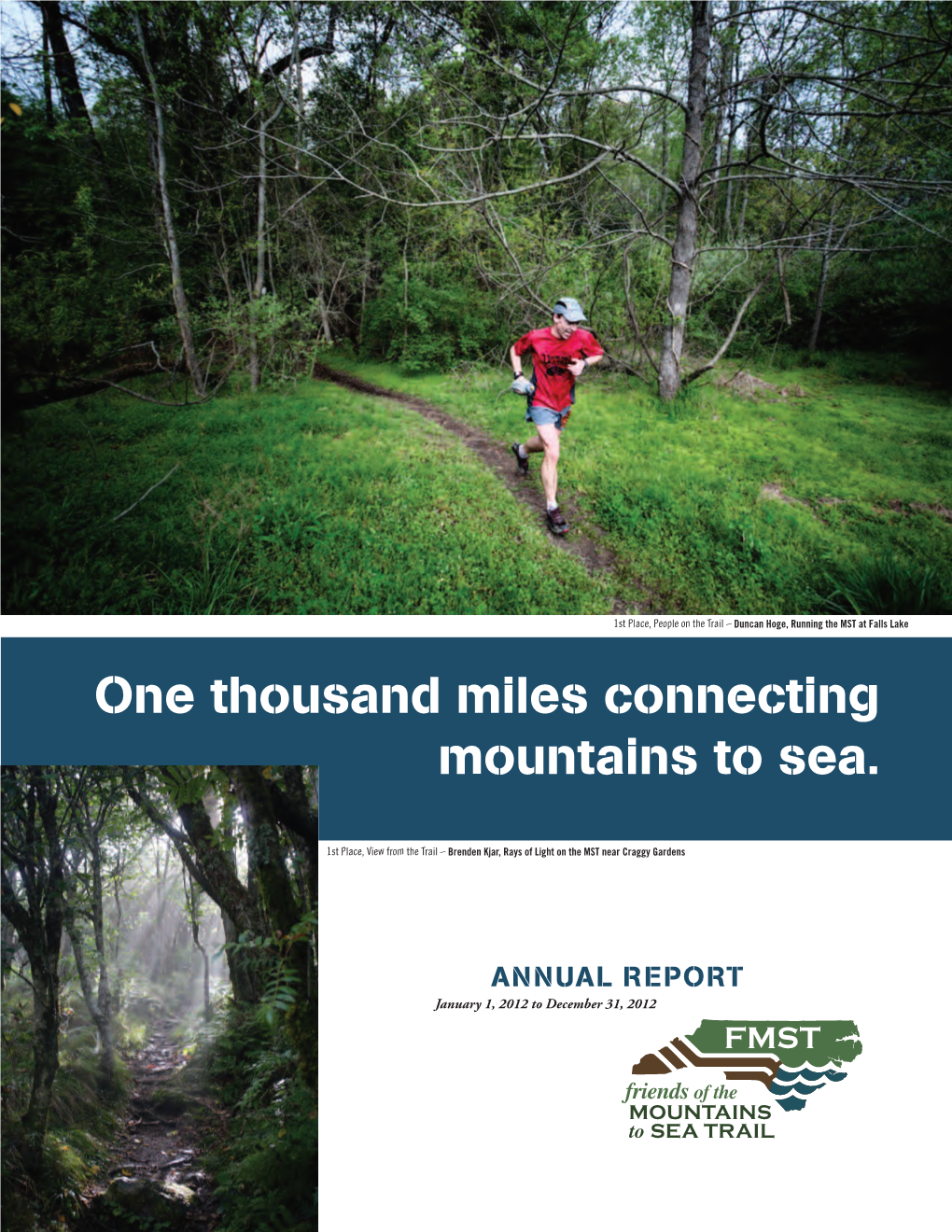 2012 Annual Report