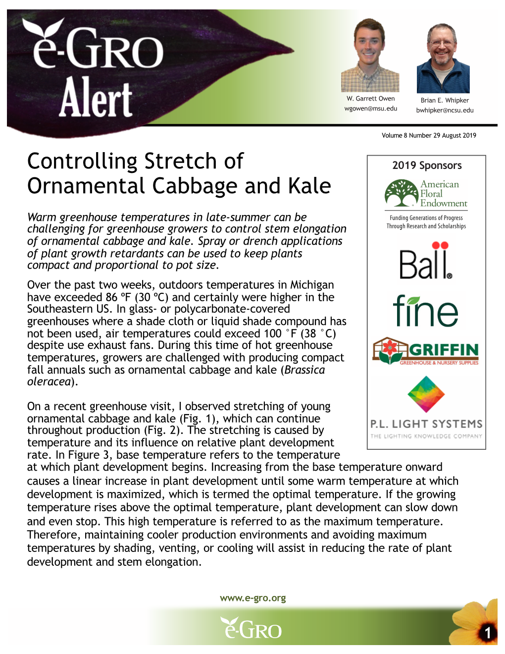 Controlling Stretch of Ornamental Cabbage and Kale