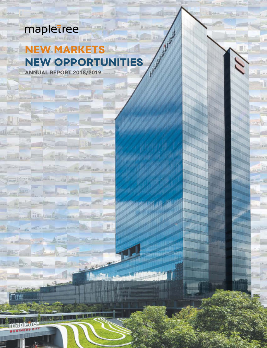 New Markets New Opportunities ANNUAL REPORT 2018/2019 Revenue