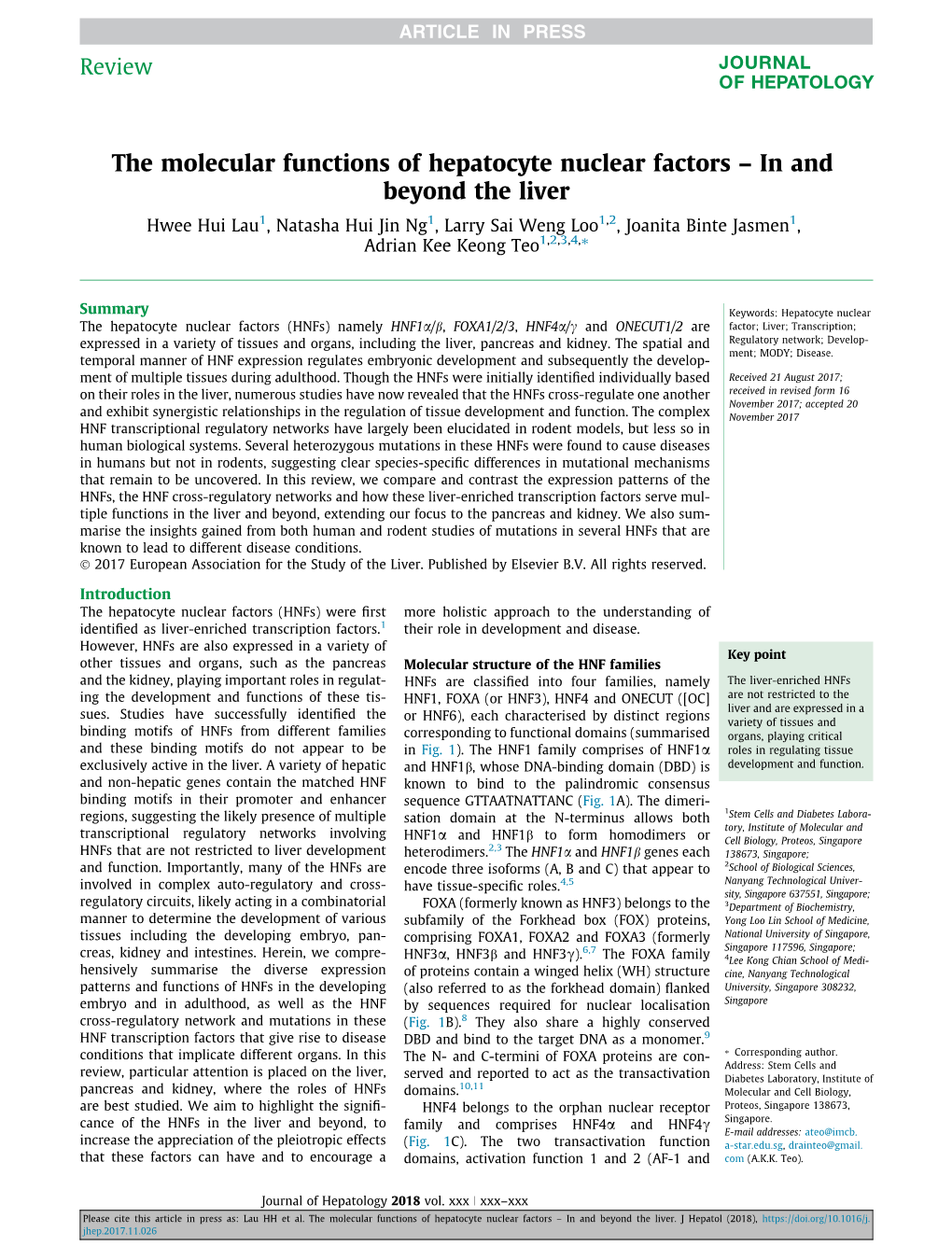 The Molecular Functions of Hepatocyte Nuclear Factors