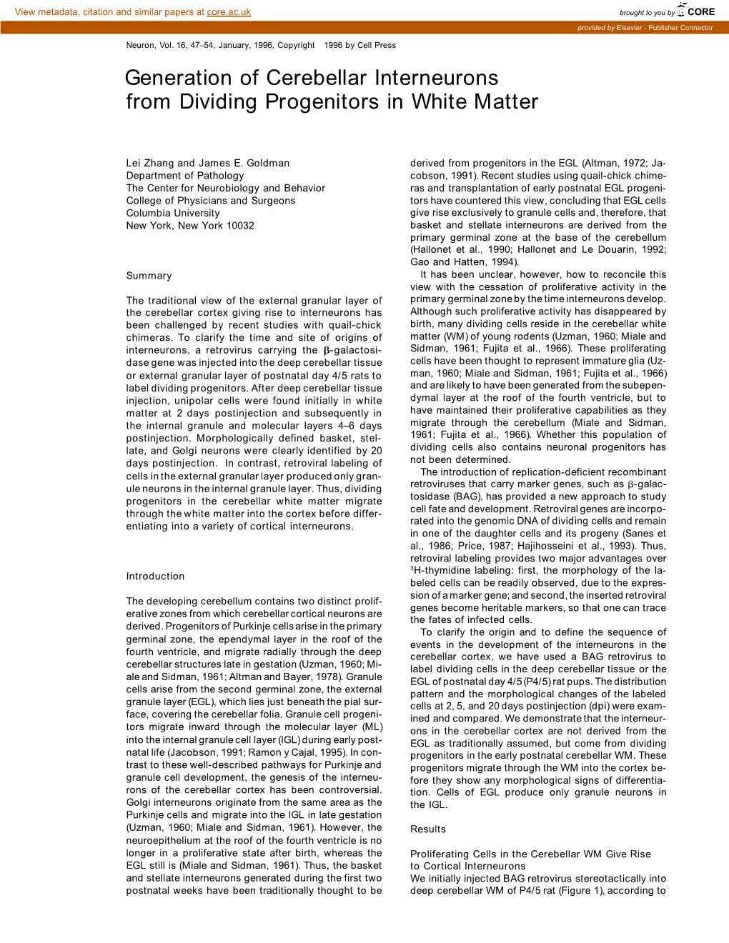 Generation of Cerebellar Interneurons from Dividing Progenitors in White Matter