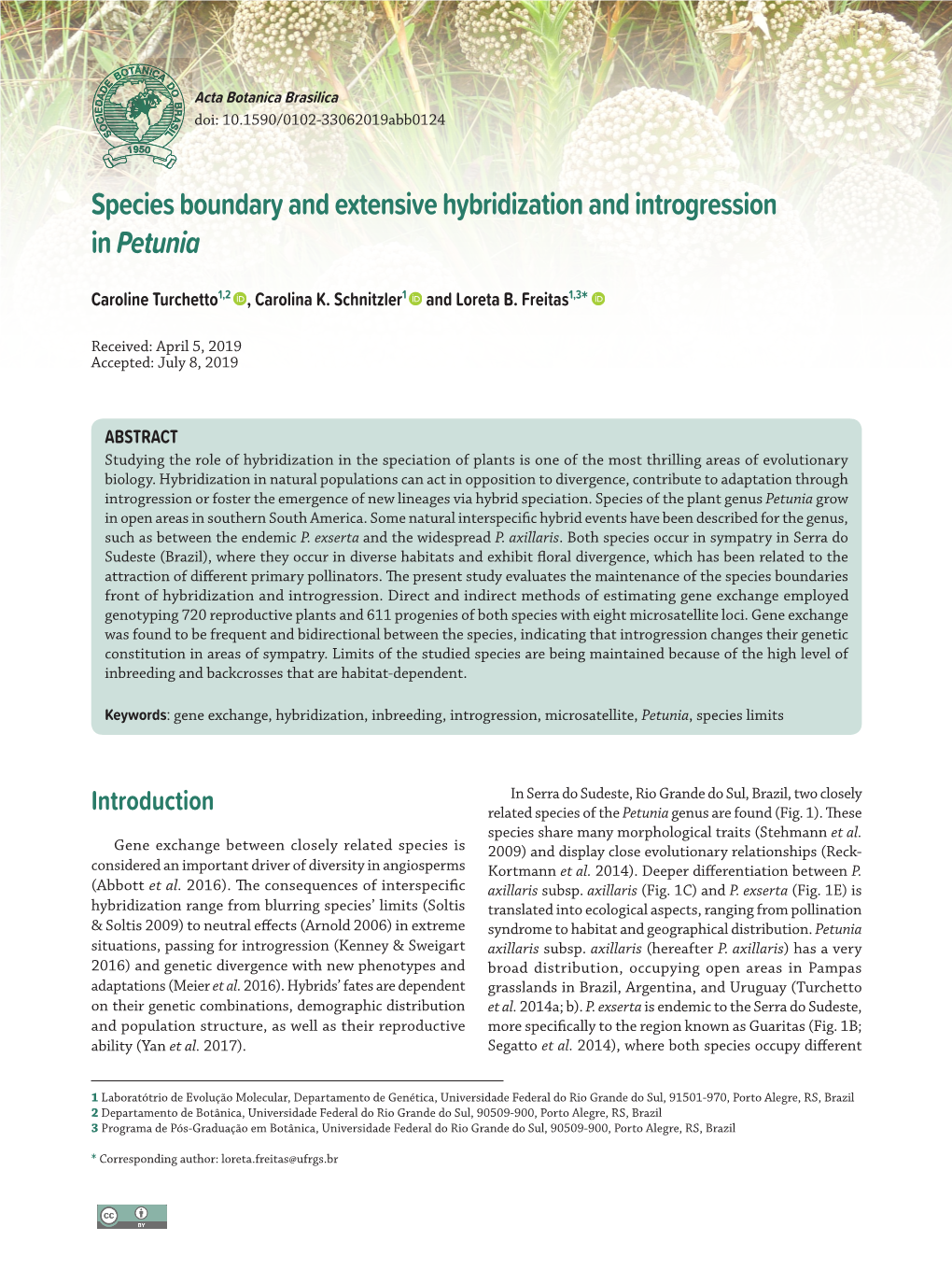 Species Boundary and Extensive Hybridization and Introgression in Petunia