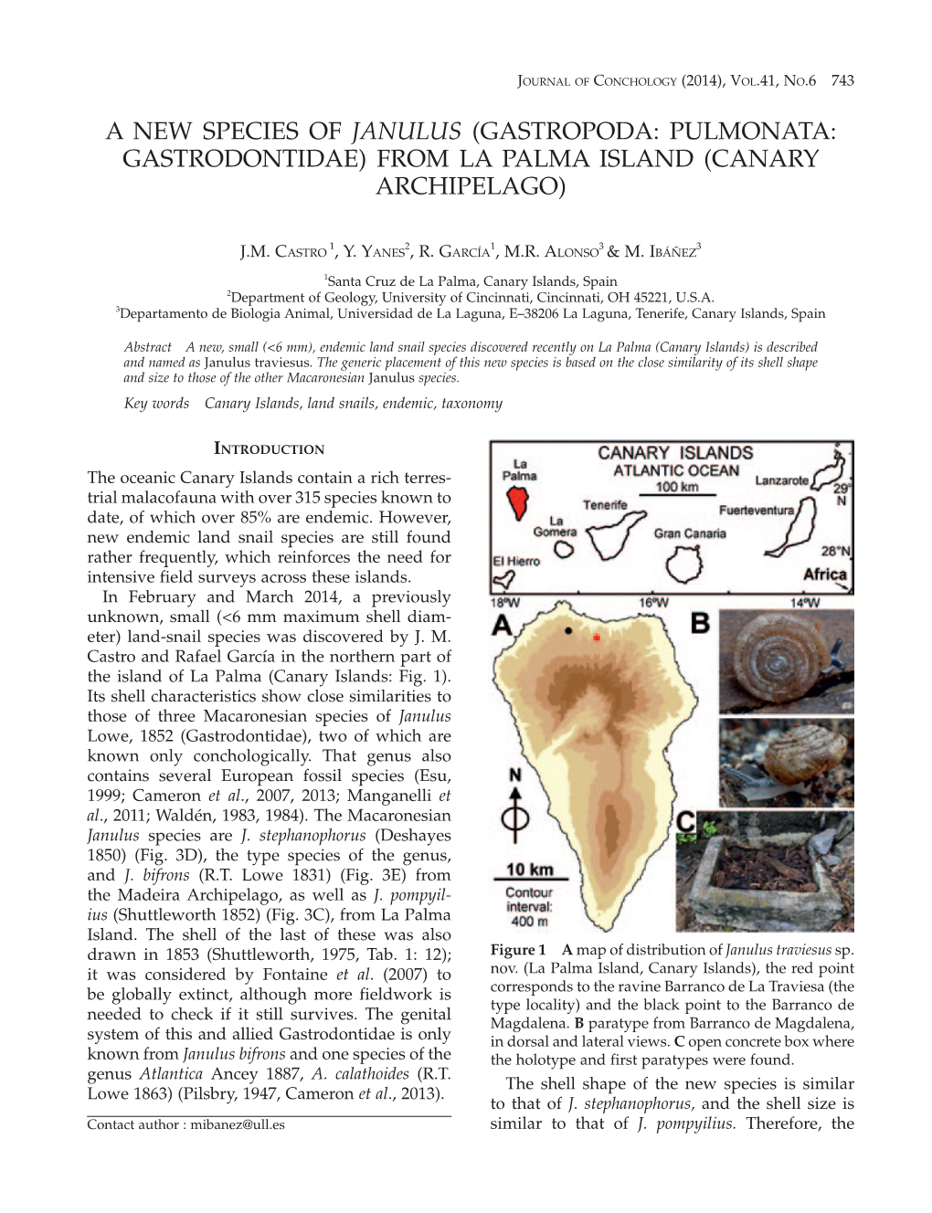 Gastropoda: Pulmonata: Gastrodontidae) from La Palma Island (Canary Archipelago