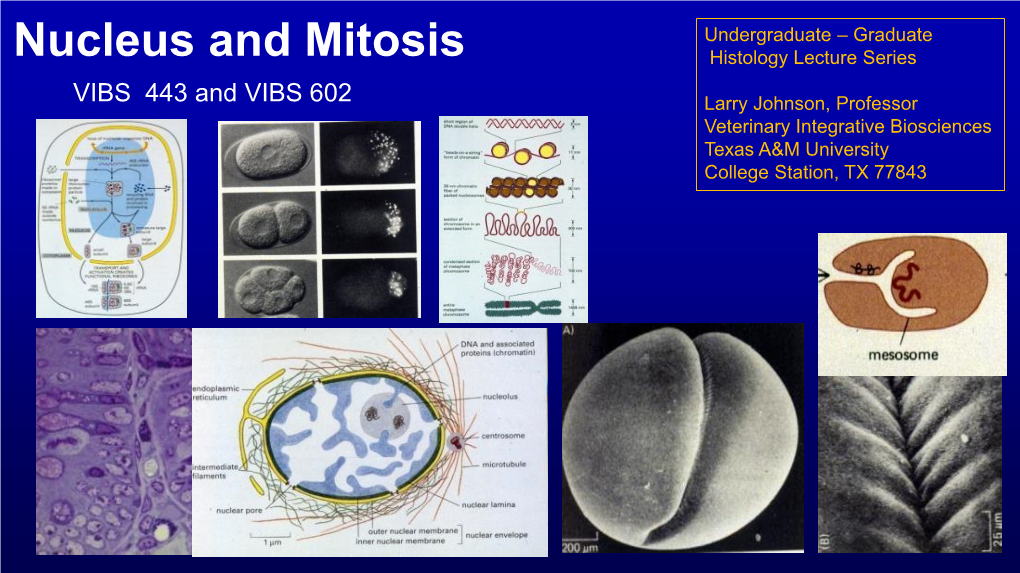 Nucleus and Mitosis Histology Lecture Series