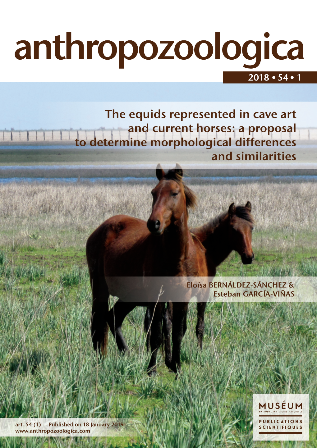 The Equids Represented in Cave Art and Current Horses: a Proposal to Determine Morphological Differences and Similarities