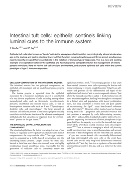 Intestinal Tuft Cells: Epithelial Sentinels Linking Luminal Cues to the Immune System
