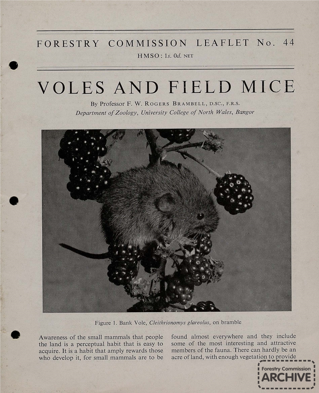 Voles and Field Mice. (1958)