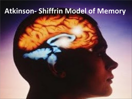 Atkinson- Shiffrin Model of Memory Multi Store Model of Human Memory