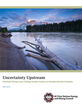Uncertainty Upstream Potential Threats from Tailings Facility Failures in Northern British Columbia