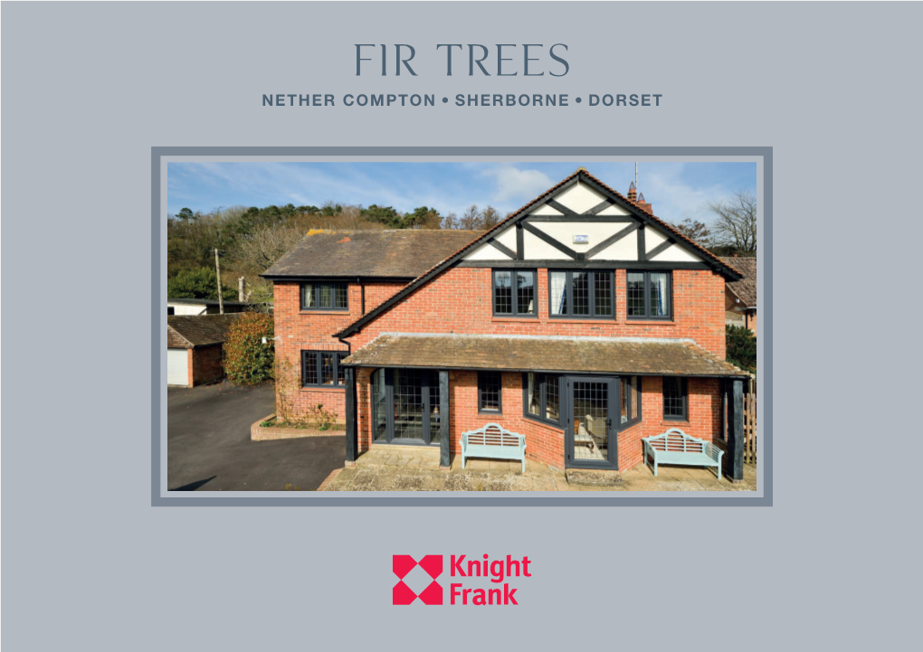 Fir Trees Nether Compton, Sherborne, Dorset Fir Trees Nether Compton Sherborne, Dorset