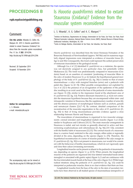 Is Haootia Quadriformis Related to Extant Rspb.Royalsocietypublishing.Org Staurozoa (Cnidaria)? Evidence from the Muscular System Reconsidered