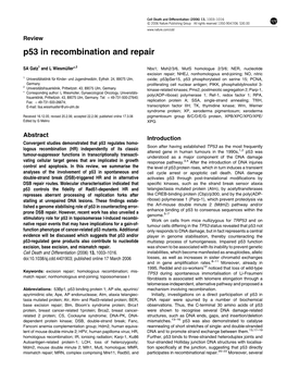 P53 in Recombination and Repair