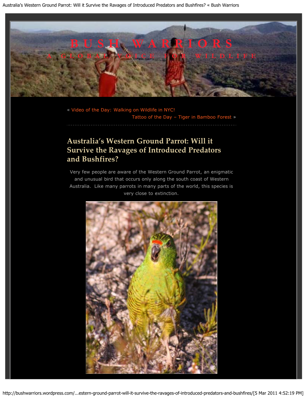 Australia's Western Ground Parrot