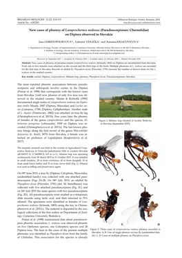 New Cases of Phoresy of Lamprochernes Nodosus (Pseudoscorpiones: Chernetidae) on Diptera Observed in Slovakia