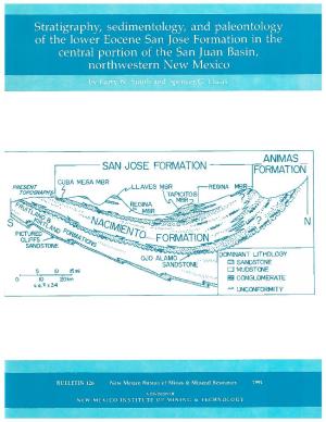 Stratigraphy, Sedimentology, and Paleontology of the Lower Eocene San Jose Formation in the Central Portion of the San Juan Basin, Northwestern New Mexico